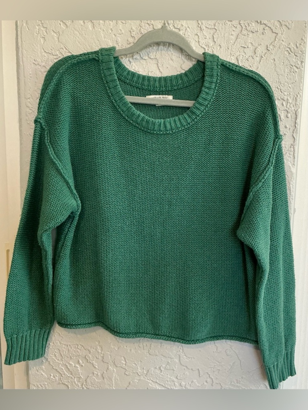 American Eagle Outfitters Green Crewneck Sweater
